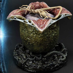 "La puerta de entrada a tu colección Alien: ¡El huevo Xenomorph abierto de Prime 1 Studio!"

Los Xenomorphs pueden ser criaturas espantosas y mortales, pero su ciclo de vida es fascinante. ¿Quieres agregar el primer paso de su proceso evolutivo