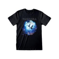 ¿Eres un verdadero fan de Avatar? ¡Muestra tu amor por la película con esta camiseta oficial de alta calidad! Con licencia oficial y fabricada con materiales de alta calidad al 100% de algodón, esta camiseta es el complemento perfecto para cualquier 