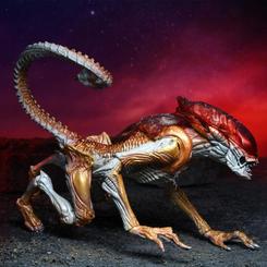 Adéntrate en el emocionante universo de Aliens con la figura Panther Alien Aliens Kenner Tribute, una impresionante pieza de 23 cm de altura. Esta figura articulada captura toda la ferocidad y el misterio del temible Alien