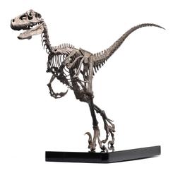 ¡Revive la emoción y la majestuosidad de la era de los dinosaurios con la estatua Jurassic Park 1/4 Esqueleto de Raptor en Bronce de 46 cm! Esta impresionante representación en bronce de tamaño real rinde homenaje al temible Raptor