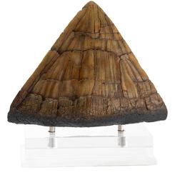 Impacto jurásico a escala de vitrina: la Jurassic Park Triceratops Spike Prop (Reproduction) 1/1 reúne precisión de cine y presencia de museo en un formato pensado para lucir de cerca. 