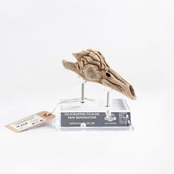 Puro ADN jurásico materializado en tu estantería: la Jurassic Park III Prop Replica 1/1 Velociraptor Resonance Chamber (18cm de alto, 16cm de ancho y 10cm de fondo) reproduce al detalle la pieza que Billy muestra a Dr. Grant