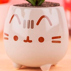 Preciosa maceta de Pusheen, esta divertida maceta está realizada en cerámica con unas dimensiones aproximadas de 8,5 x 8,5 x 8,5 cm.  Planta algo de magia Pusheen.